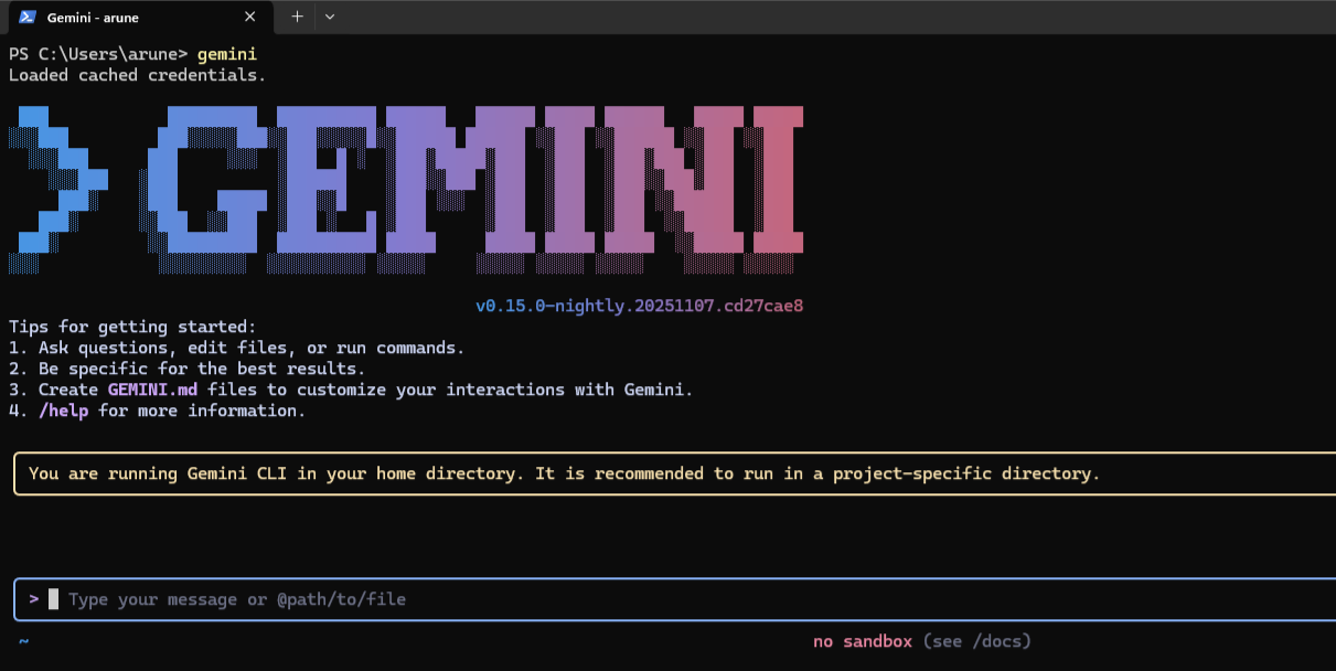 Gemini CLI launch screen in VSCode terminal